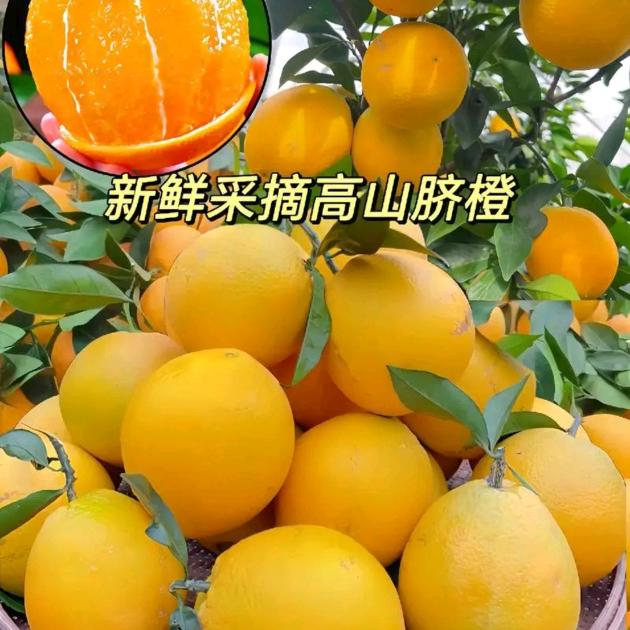 亚果会帮卖江苏