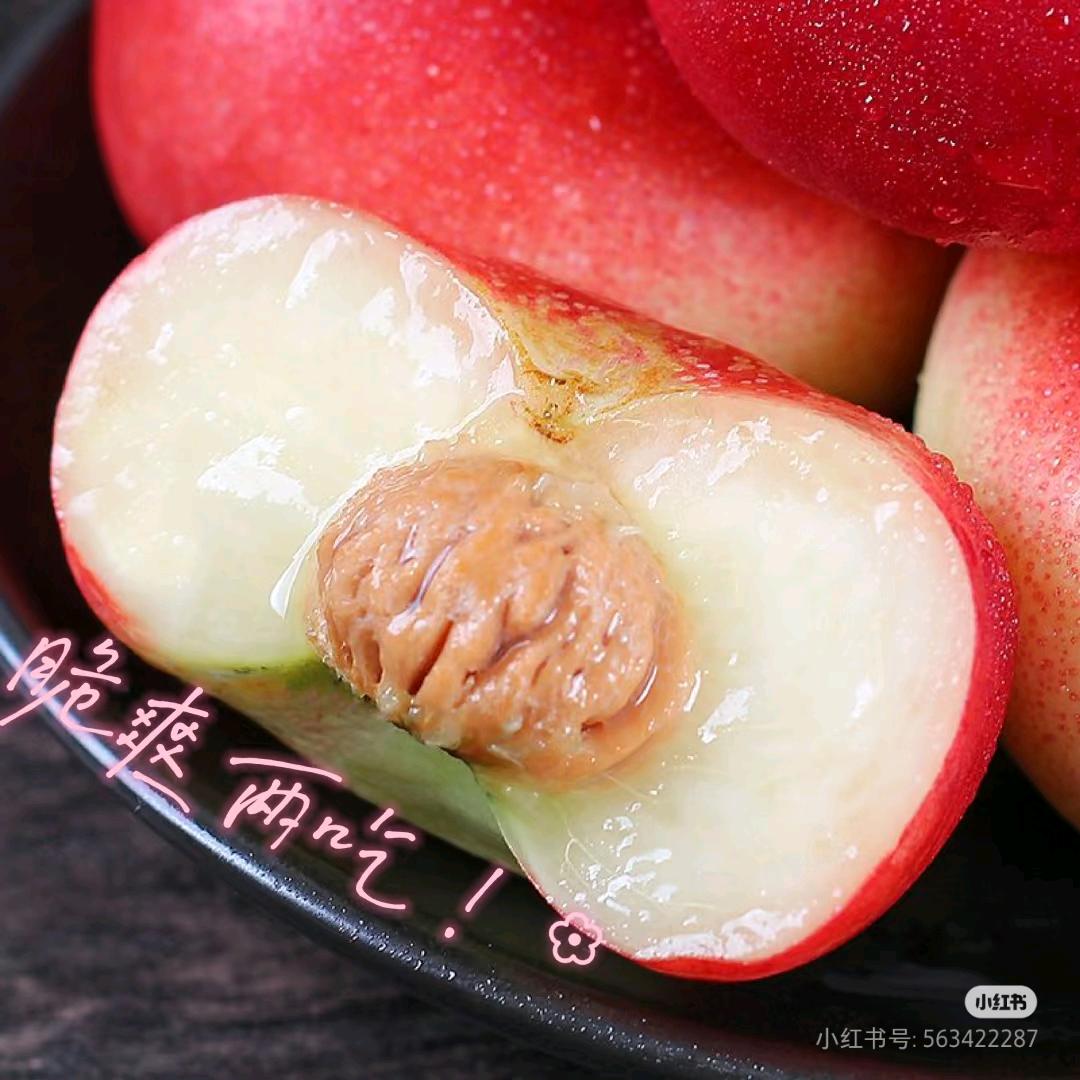 小春熊