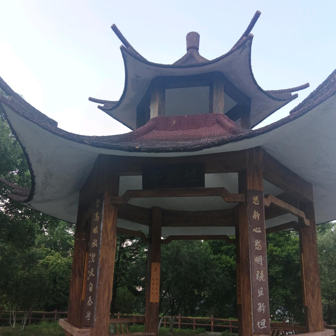 春天的风