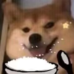 猫饼MUR