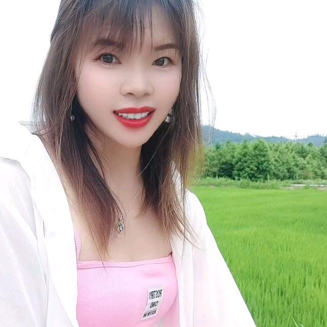 单只蝴蝶