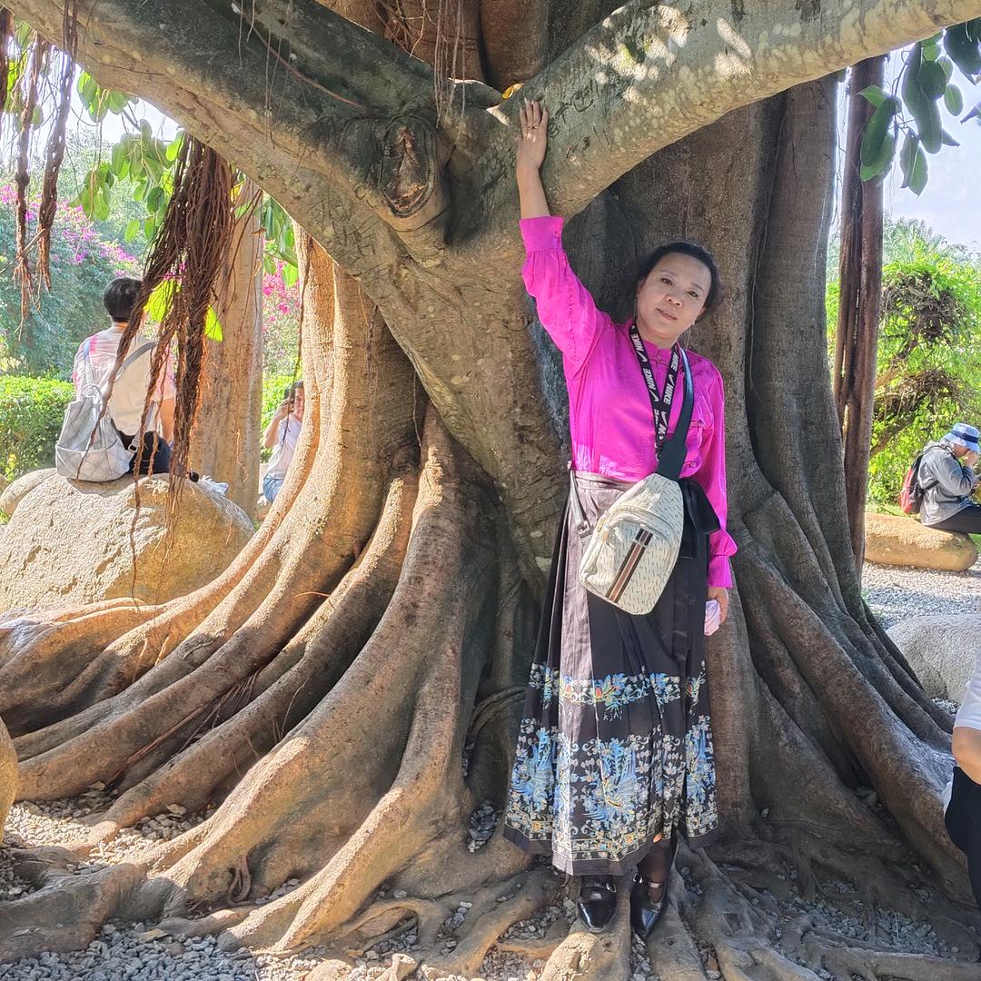 丫丫首播筹备中