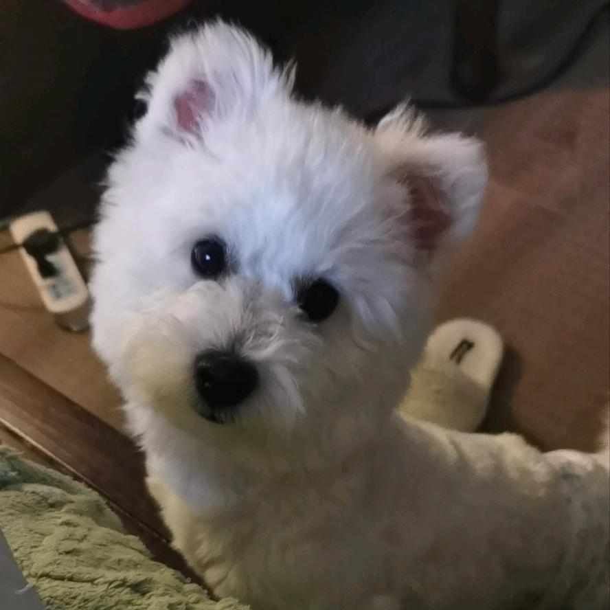 ☆8月♌狮子座♌