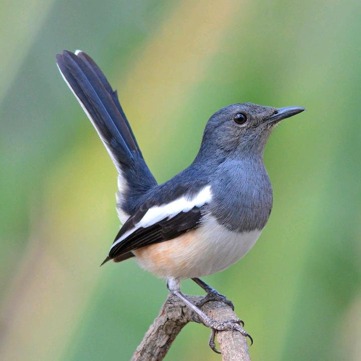 读来读趣图书店