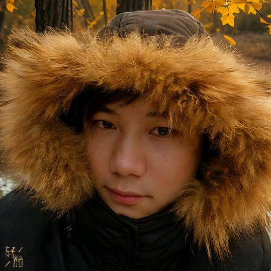 凤年