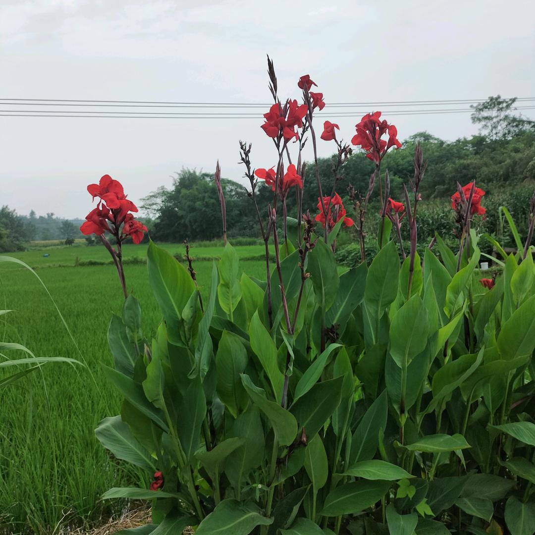 珍惜当下。
