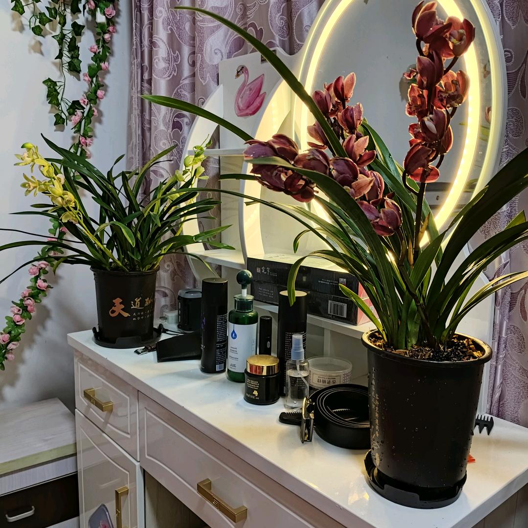 烤蜜薯