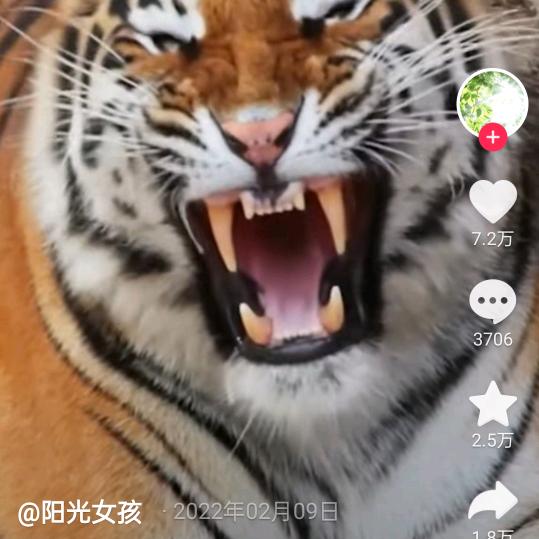 平凡