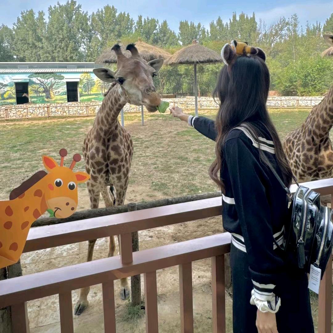 是妹妹呀