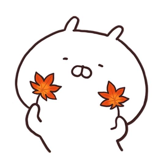 我只有一个莞