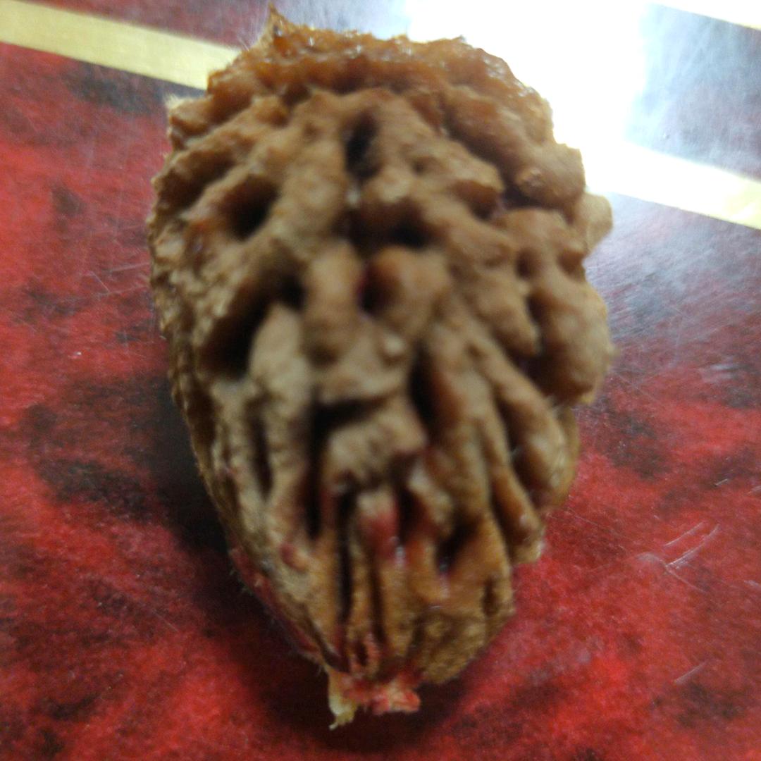 多多奶奶