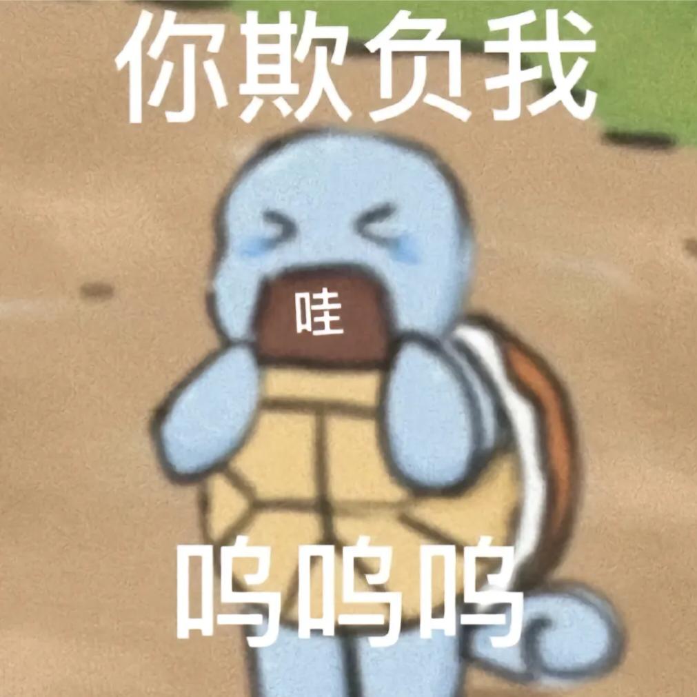 杰尼龟不是双面龟🏸