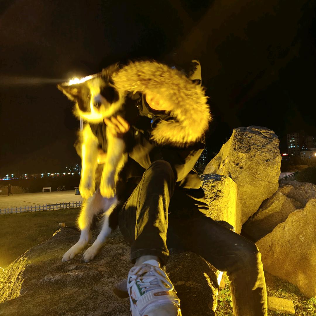 阳光旅行(定制)