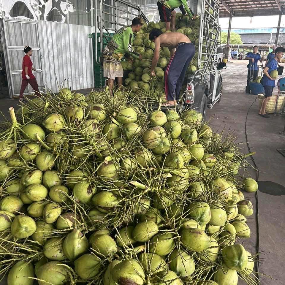 荞达食品