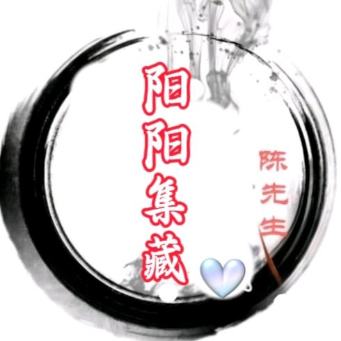 阳阳收藏臻选
