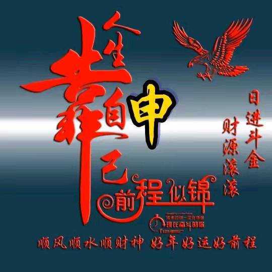 走北闯南
