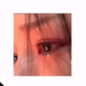 陆家姑娘有苦藏在心