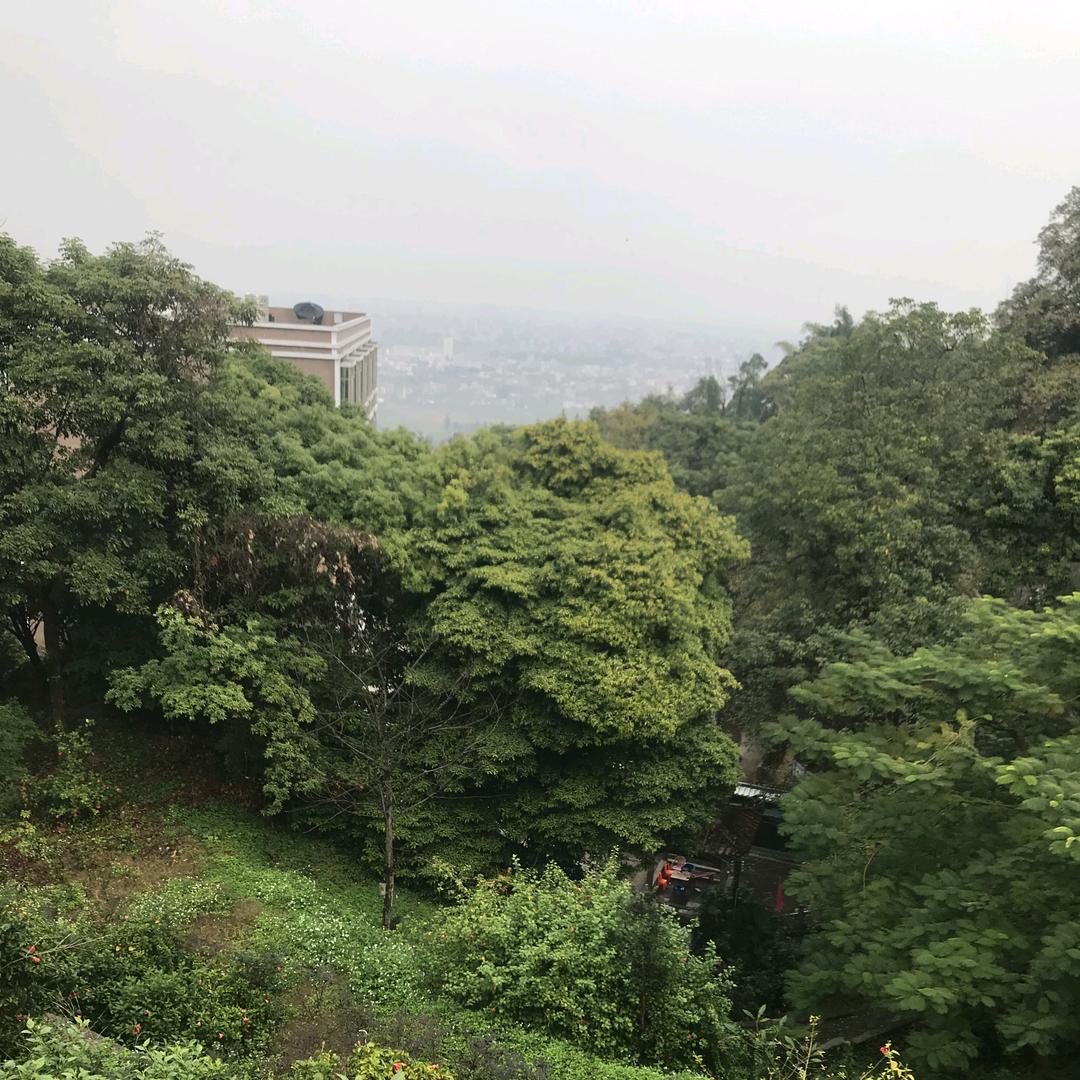 顺心