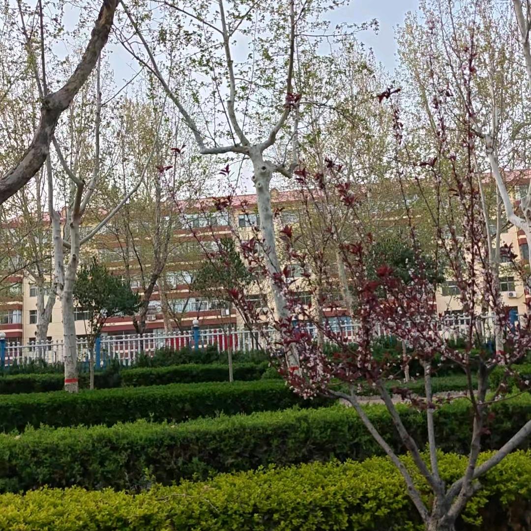 春夏秋冬🌸
