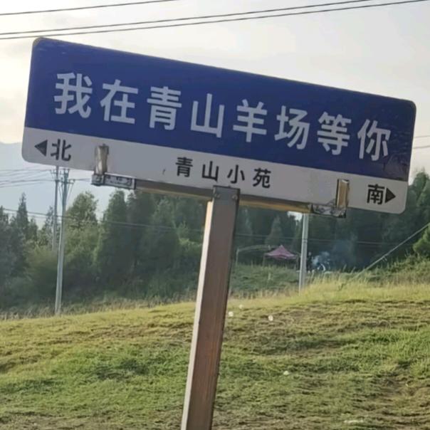 欢口青山羊团长