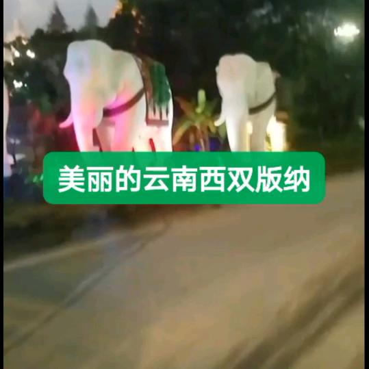 魏你期待