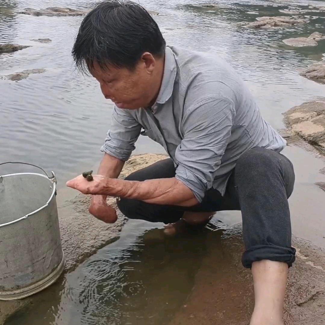 何鹄【识百草】