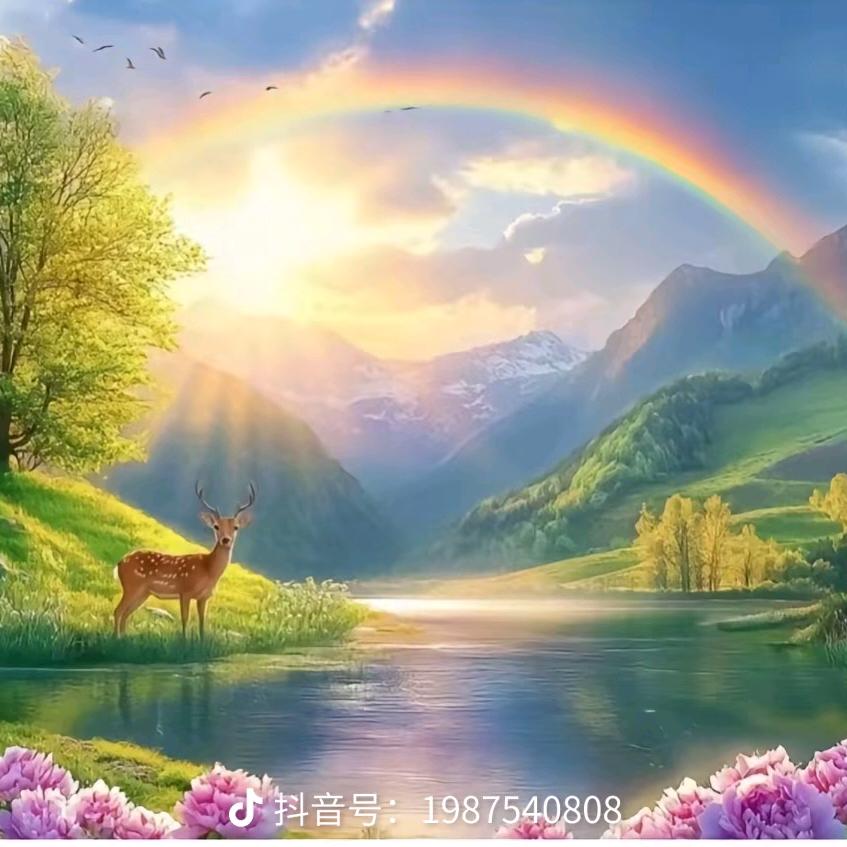 幸运永伴🌈