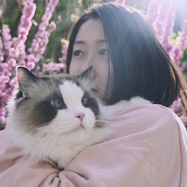 会点养猫的端木唐8月20日-24日直播