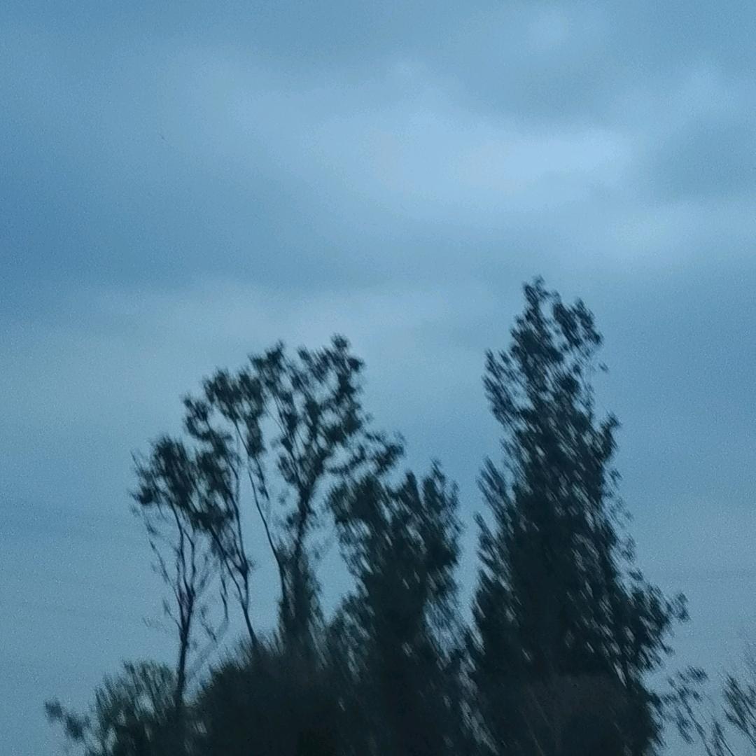鹿与其