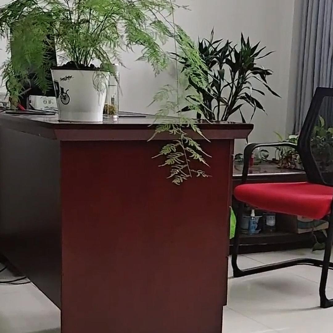 为将来而努力