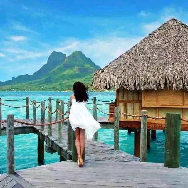 安娜姐🦚🦚🦚🌹🌹🌹🌹🌹?