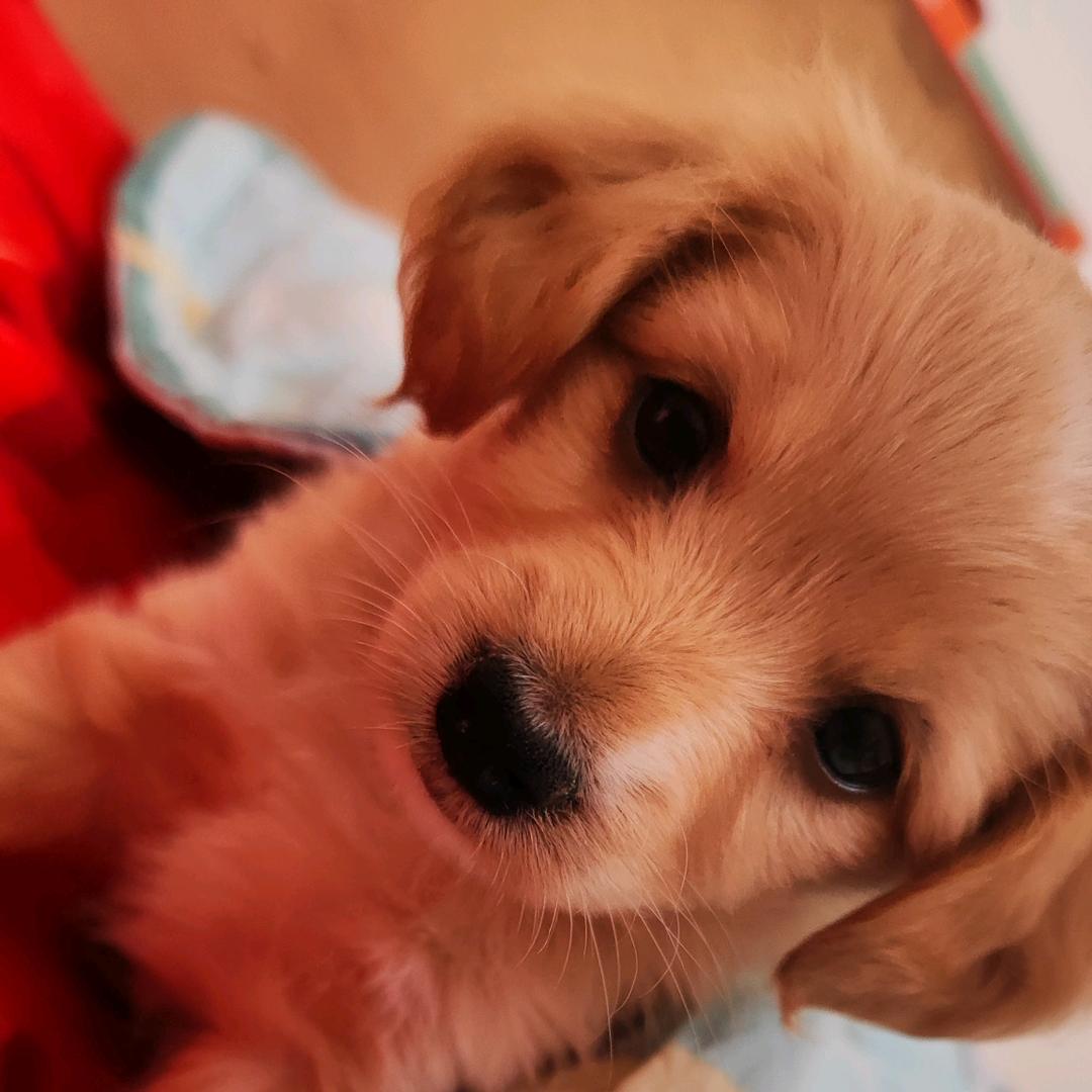 🌈无忧无虑🌈