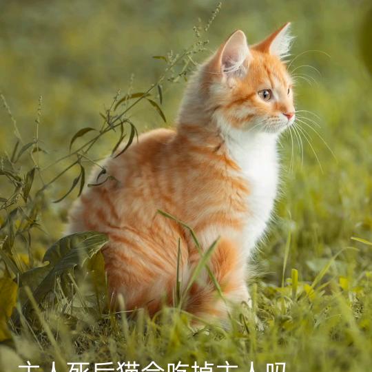 几分醉意（拒私聊）