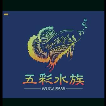五彩水族