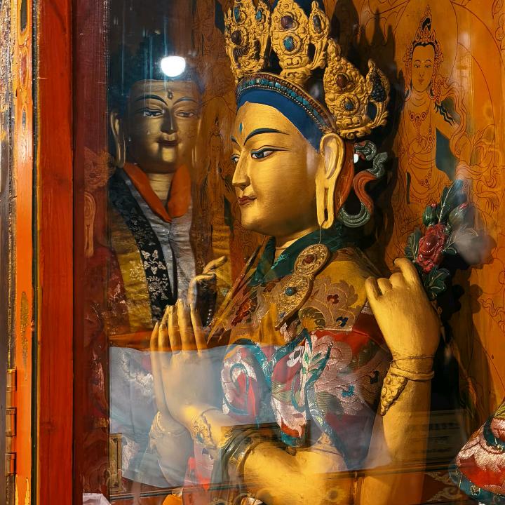 ࿐ ས་ཁུ་མ🐷