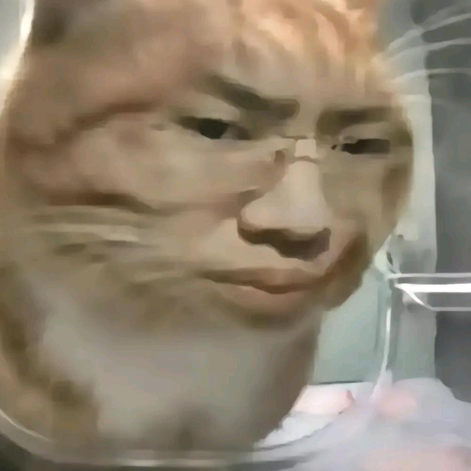 梵.