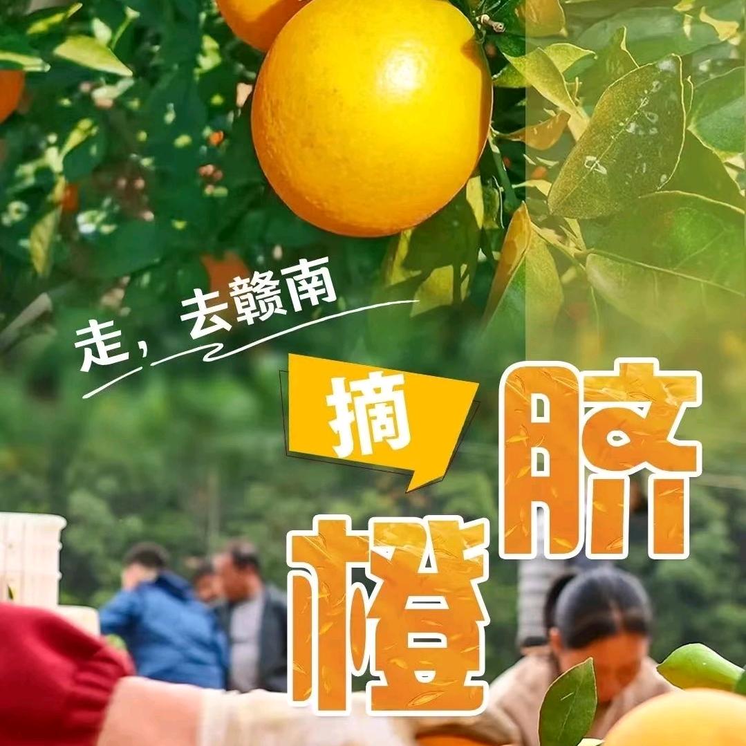 阿洲