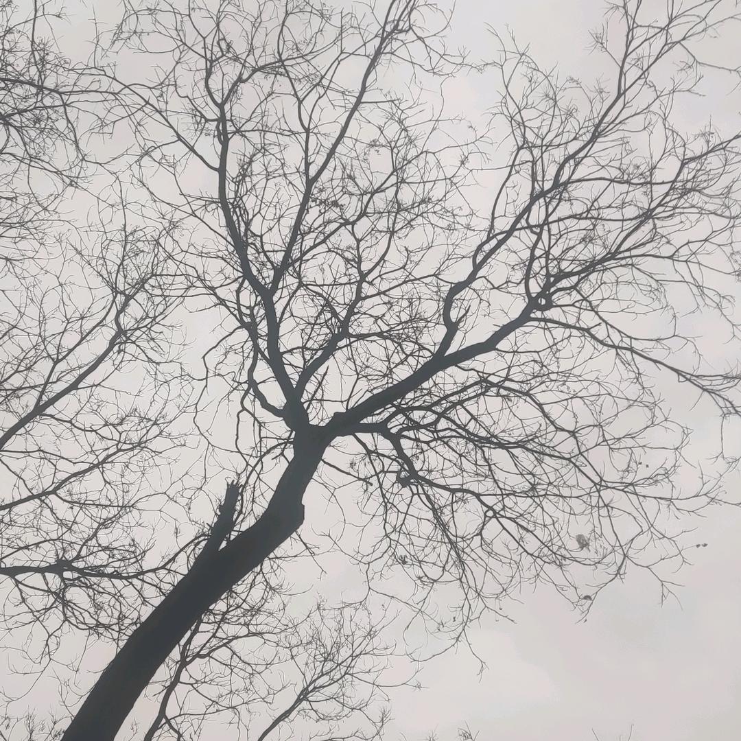 贺兰山东麓酒庄