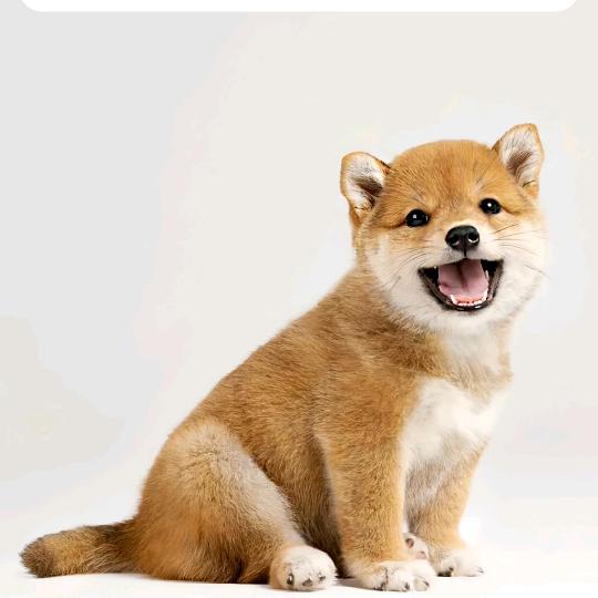 🩴ooooo