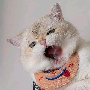 玮铭一心