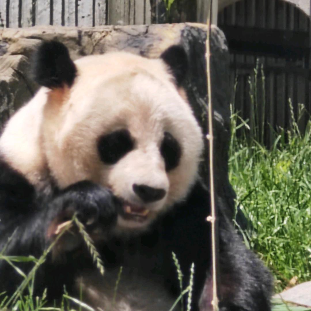 龙固丁东车行