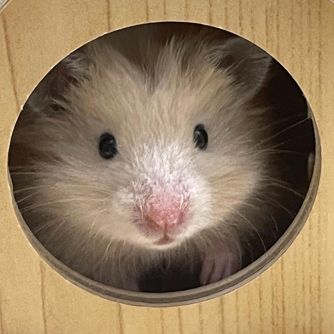 稀里哗啦啦啦
