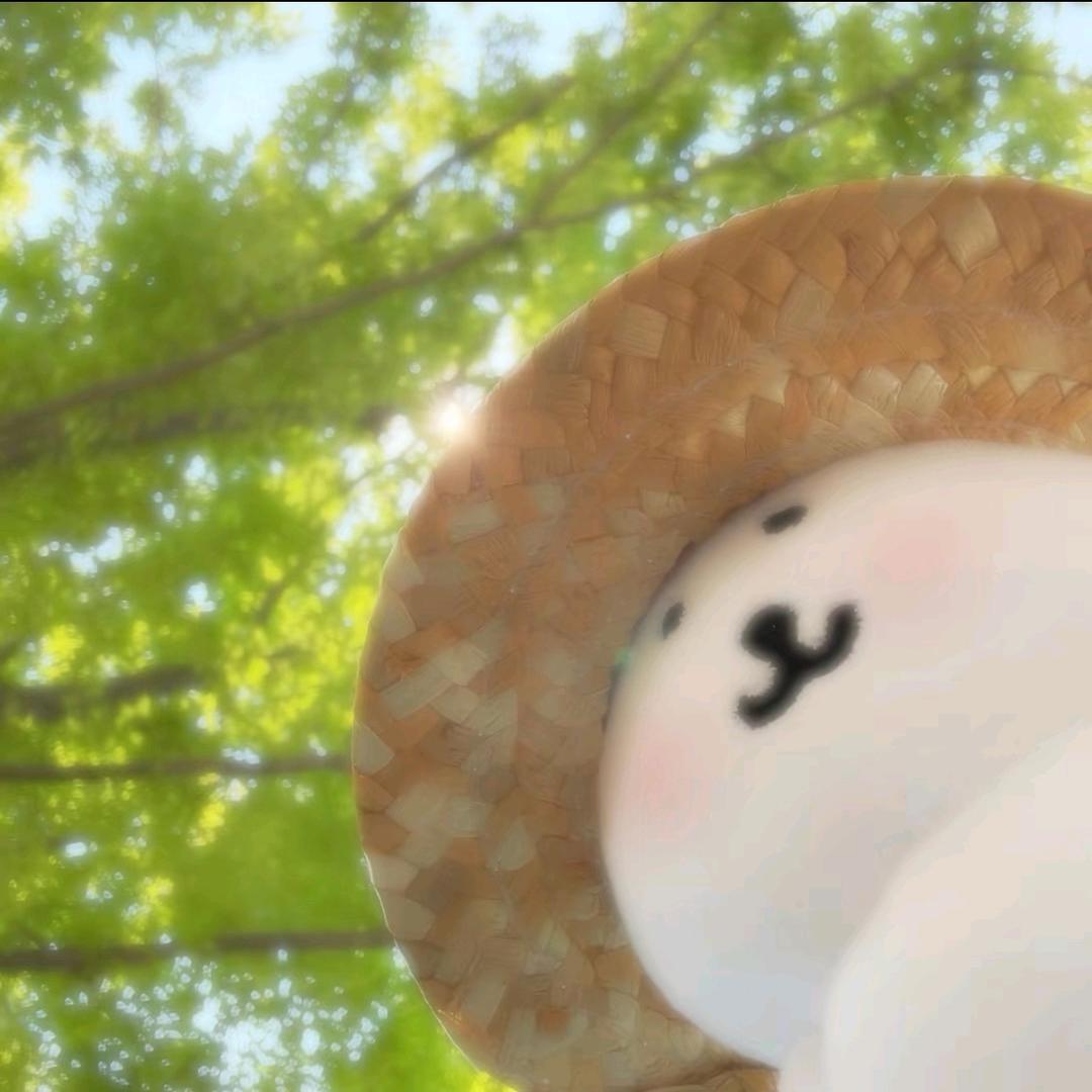 糕手小记