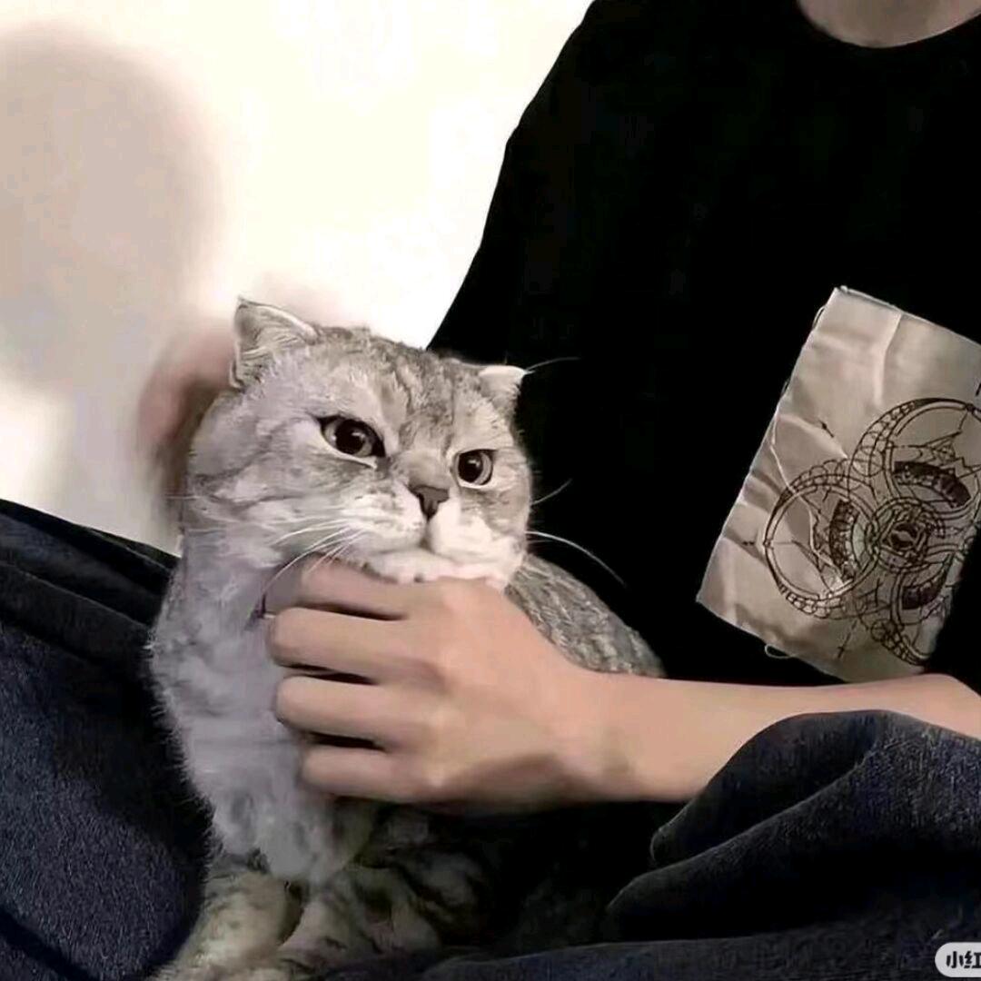 碎碎