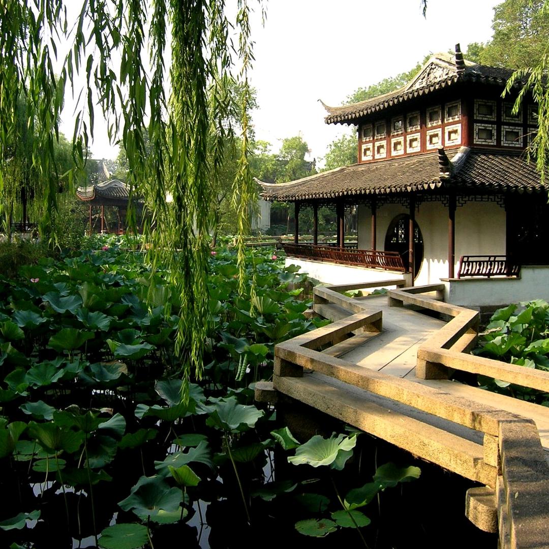 阡阡