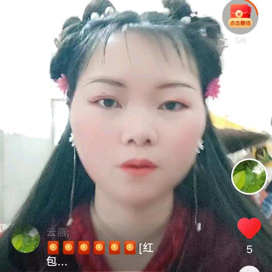 白菊（火灵子）