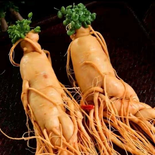 回春益阳原材料