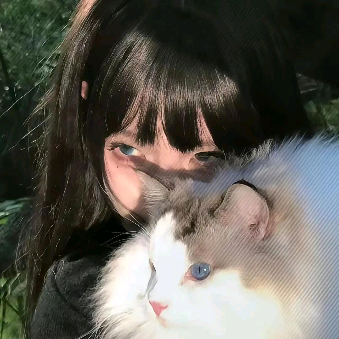 小猫不次魚.
