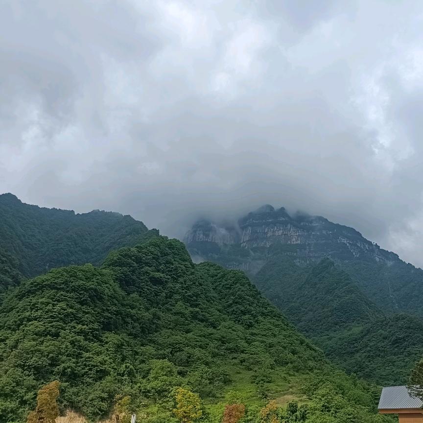 玖伍贰柒。