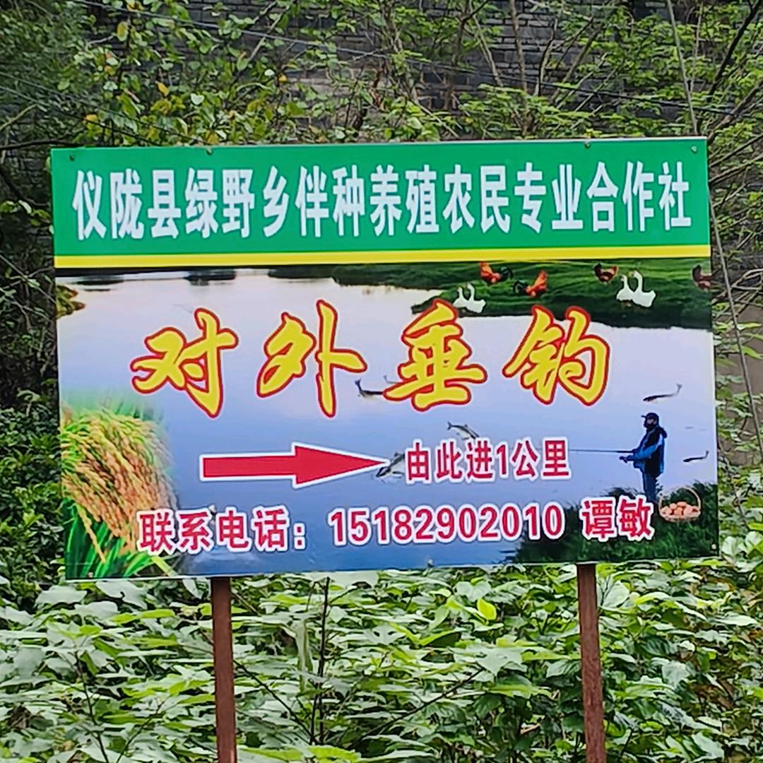 绿野乡伴（助农）